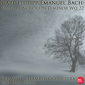 Flute Concerto in D minor, Wq 22: III. Allegro di molto