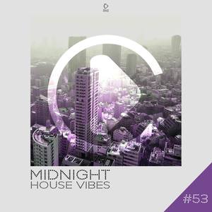 Midnight House Vibes, Vol. 53