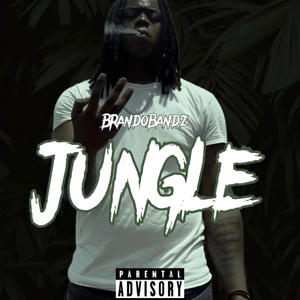 Jungle (Explicit)