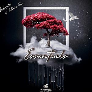 ESSENTIALS (feat. Ntsako Ree)