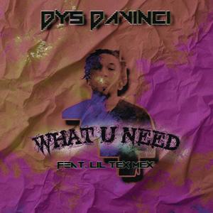 What U Need (feat. Lil TexMex) [Explicit]