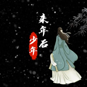 来年后·少年 (说唱版)封面