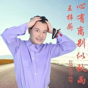 心有离别似秋雨 (DJ版)