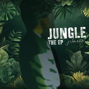 AP (feat. Lil Qua) (Explicit)