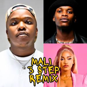 MALI (Dlala Thukzin x Zee Nxumalo x Sykes) [3 STEP BOOTLEG]