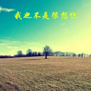 我想我已经病入膏肓 (DJ版)