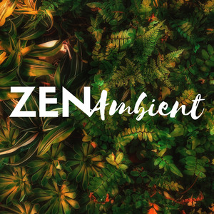 Zen Ambient