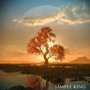 Sample King (Explicit)