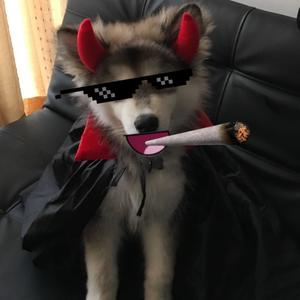 I <3 U (feat. intr0v3rt) (Explicit)