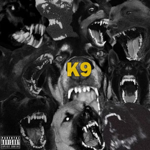 K9 (Explicit)