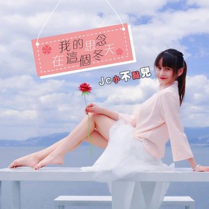 我的思念在这个冬天