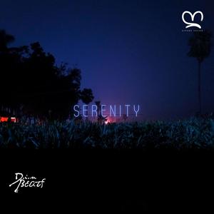 Serenity (feat. Din BEATS, Kitoko Sound, Jazzy Rhodes & Kitoko Trumpet)