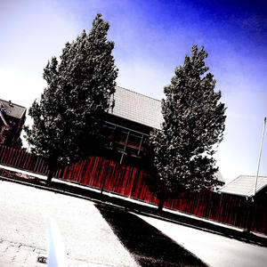 ****wmyselfsohard idpreferifuhatedme (Explicit)