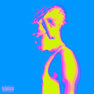 My Vision (Explicit)