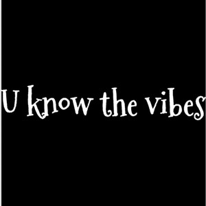 U Know the Vibes (Explicit)