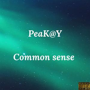 Common Sense (Explicit)