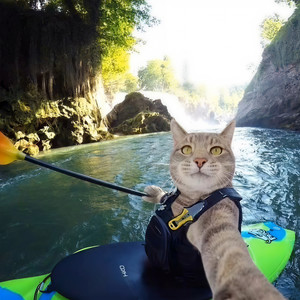 有一种爱叫做放手 (DJ版)