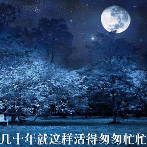 几十年就这样活得匆匆忙忙 (伤感版)