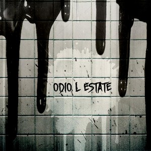 Odio l'estate