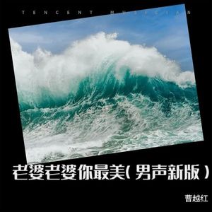 老婆老婆你最美 (男声新版)