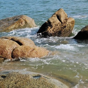 我的心在海对面