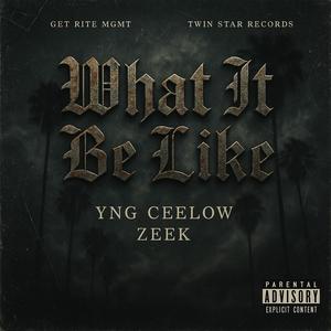 What It Be Like (feat. Yng Ceelow & Zeek) (Explicit)