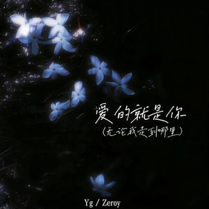 爱的就是你 (无论我走到哪里)