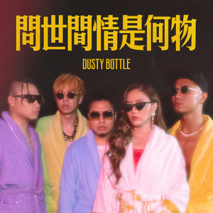 问世间情是何物封面