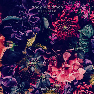 Andy Woldman - If I Could (Jaskyne Remix)