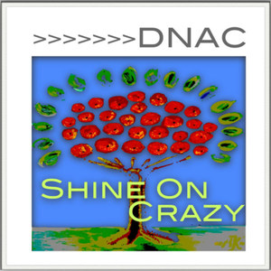 Shine On Crazy (Original Mix)