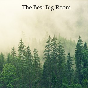 The Best Big Room Pt.011