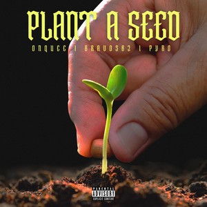 PLANT A SEED (Explicit)