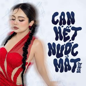 Can Het Nuoc Mat Remix