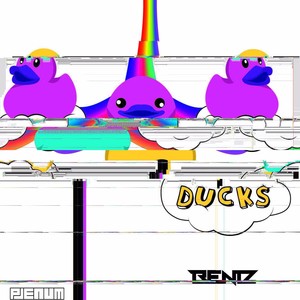 Ducks