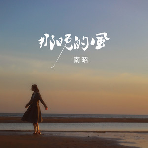 南昭《那晚的风》[MP3_LRC]_MP3免费下载