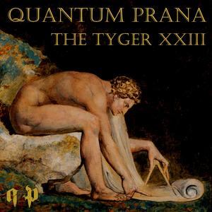 The Tyger (feat. MathGen & Second Order Effects) (2023 Remix)