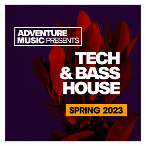 Bass Knob (Tech House Vip Mix)