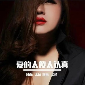 爱的太傻太认真 (DJ沈念版) - 孟杨封面