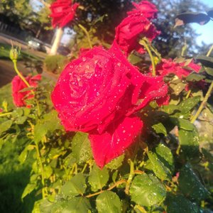 Now and Later (Explicit)