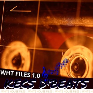 White House Files 1.0 (Explicit)