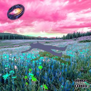 evolution(feat. soap.) (Explicit)