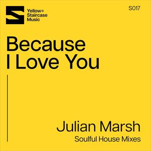 Because I Love You (Soulful House Mixes)