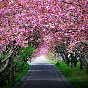 UnEnding (feat. metlast) (Explicit)