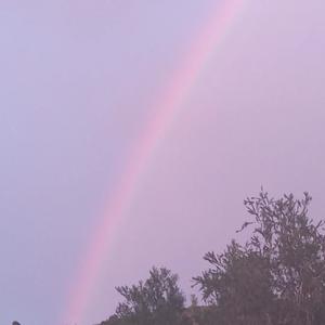 PROCESS (feat. VVSYOUCANTELL)