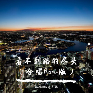 看不到路的尽头 (合唱Remix版)