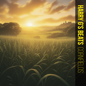 cornfields