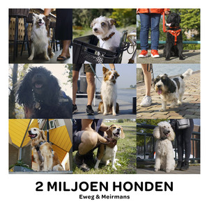 2 miljoen honden