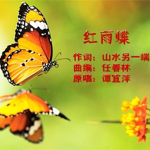 红雨碟
