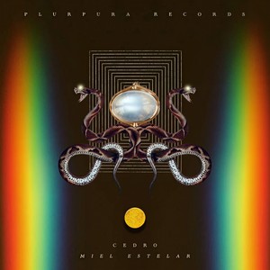 Amigos de la Luna (Antaares Remix)