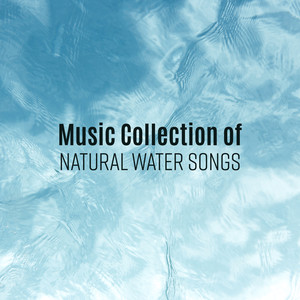 Music Collection of Natural Water Songs: 2019 New Age Music Compilation, Relaxing & Soothing Songs with Piano Melodies and Nature Sounds of Water, Ocean, Bay, Harbor